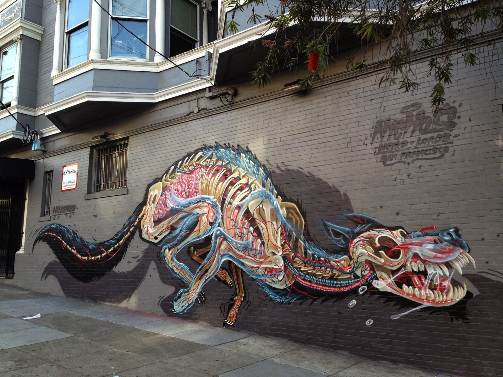 Nychos 'X-ray of a Wolf' New Mural In San Francisco, USA — Urbanite